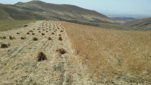 تصاویر خاطره انگیز  Kh-5